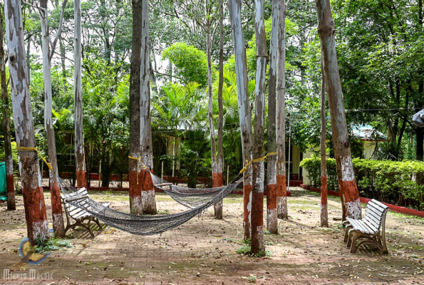 Orchard Resort 2