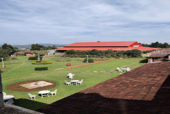 Slide 8