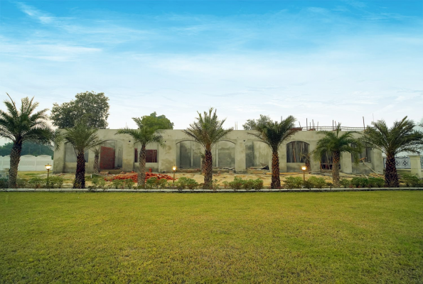 Greek Garden 5