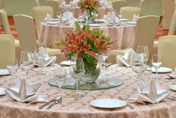 Radisson Gwalior 2