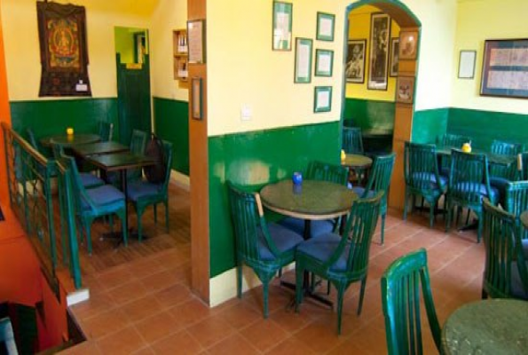 Cafe Turtle