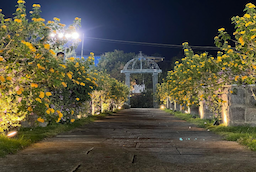 Avani The Perfect Venue