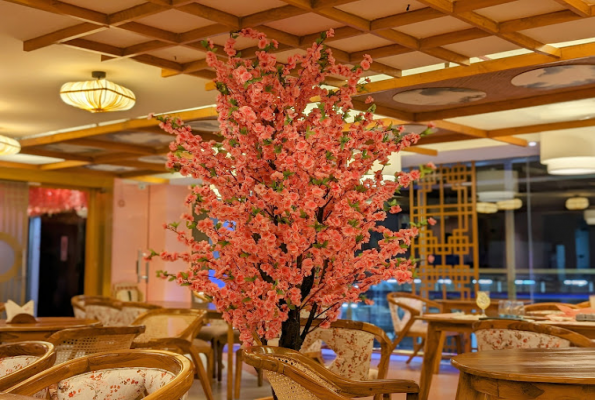Sakura A Far Eastern Kitchen 2