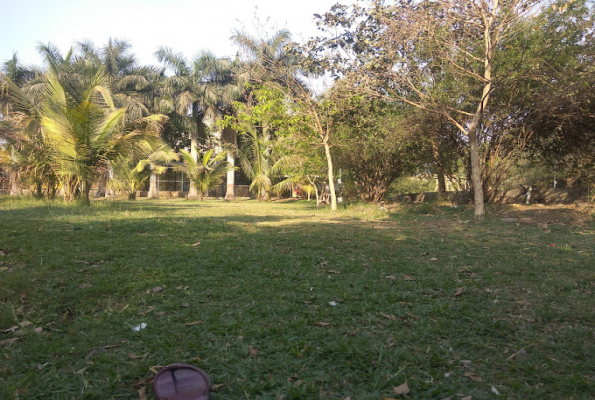 Venue Image