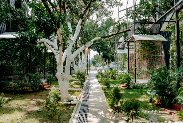 Vishram Resort 4
