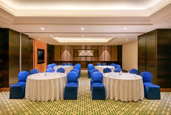 Radisson Blu Plaza Resort & Convention Centre 5