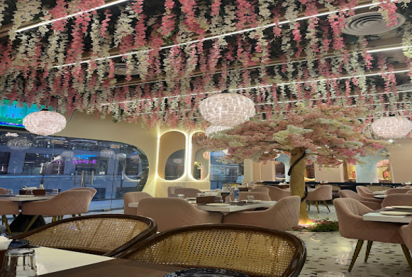 Zoca Diner 4