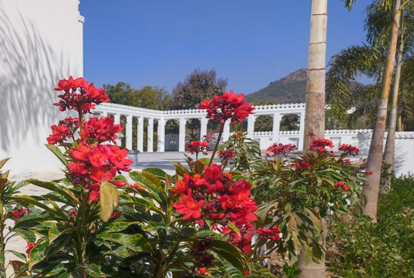 Daulatgarh Resort And Spa 2