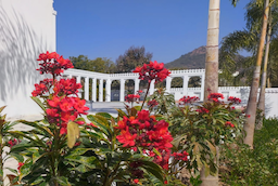 Daulatgarh Resort And Spa