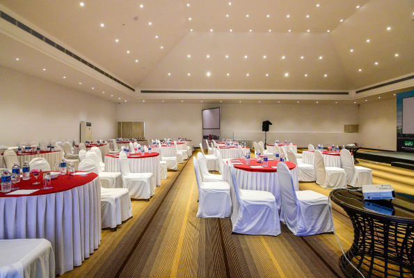 Park Regis Goa 3