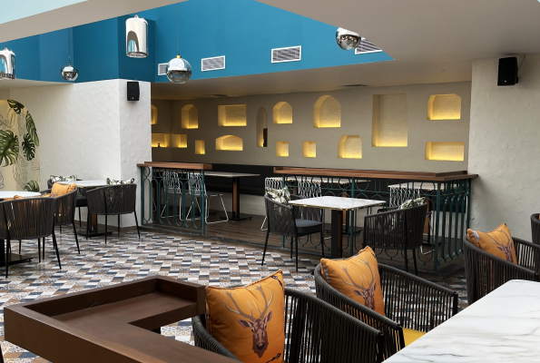 Picaso The Master Chef 1