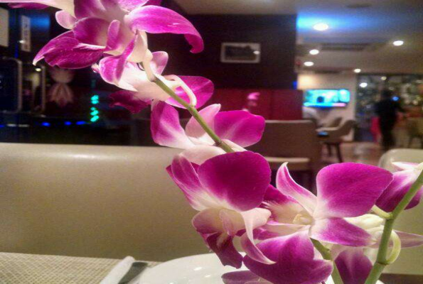 Royal Orchid Suites 1