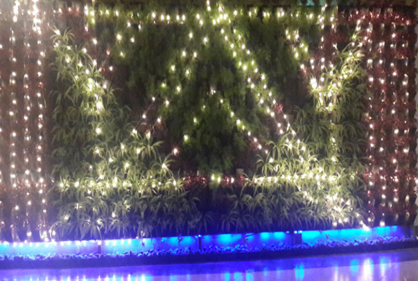 Hotel Dragonfly Hotel 4