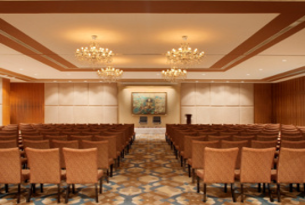 Radisson Blu Hotel 3