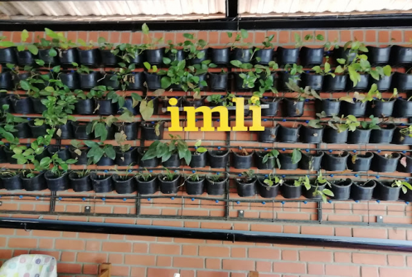 Imli Cafe And Restaurant 3