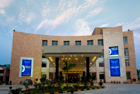 Velvet Clarks Exotica 2