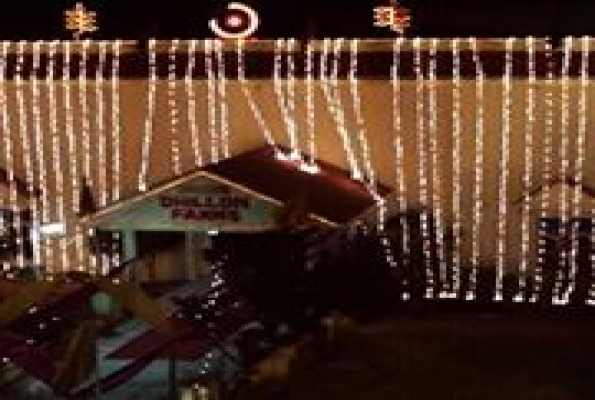 Dhillon Farm 2