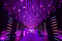 The Ritz By Ferns N Petals