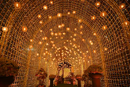 The Ritz By Ferns N Petals