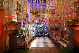 The Ritz By Ferns N Petals