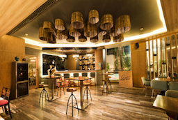 Radisson Blu Hotel