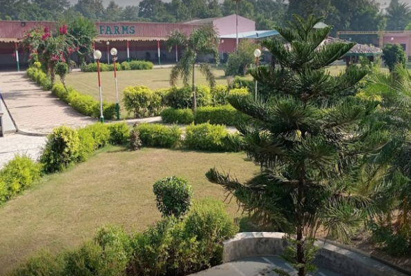 Venue Image