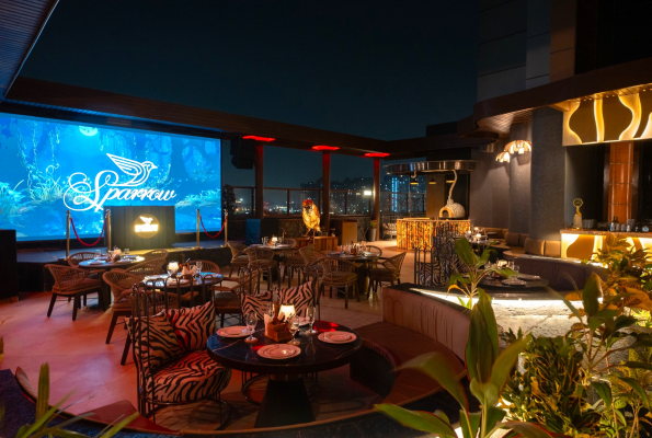 Sparrow Noida 4