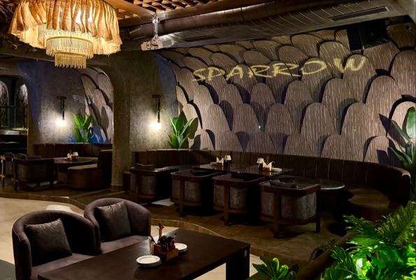 Sparrow Noida 4
